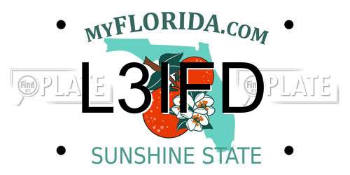 L3IFD Florida License Plate