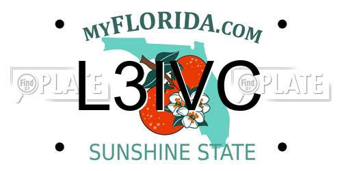 L3IVC Florida License Plate