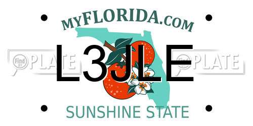 L3JLE Florida License Plate