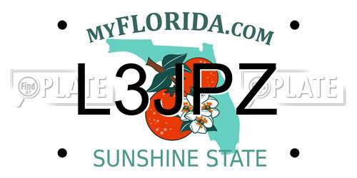 L3JPZ Florida License Plate