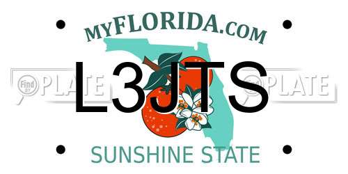 L3JTS Florida License Plate