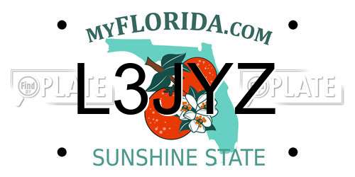 L3JYZ Florida License Plate