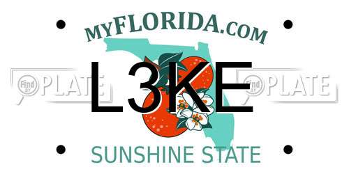L3KE Florida License Plate