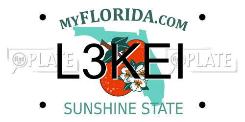 L3KEI Florida License Plate