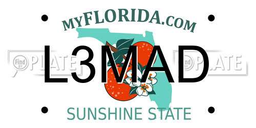 L3MAD Florida License Plate