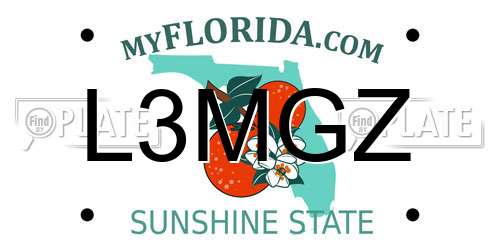 L3MGZ Florida License Plate
