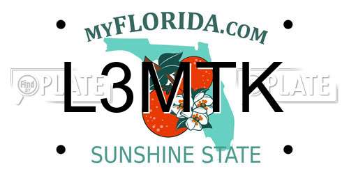 L3MTK Florida License Plate