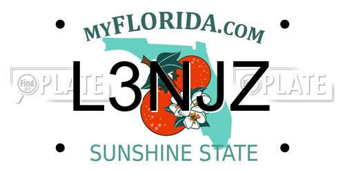 L3NJZ Florida License Plate