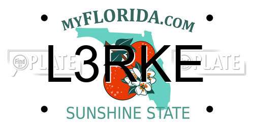 L3RKE Florida License Plate
