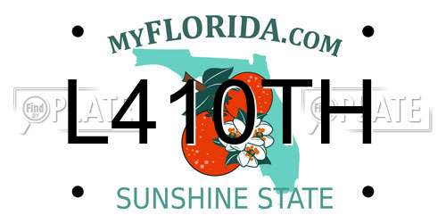 L410TH Florida License Plate