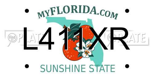 L411XR Florida License Plate