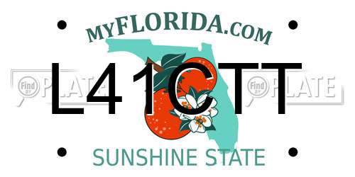 L41CTT Florida License Plate