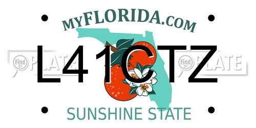 L41CTZ Florida License Plate
