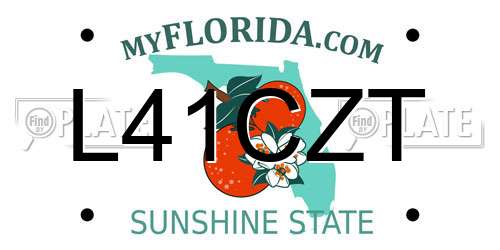 L41CZT Florida License Plate