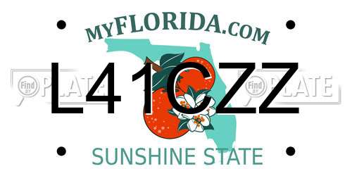 L41CZZ Florida License Plate