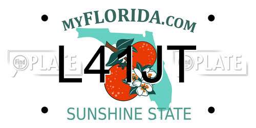 L41JT Florida License Plate