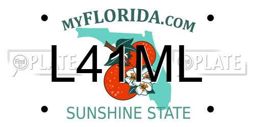 L41ML Florida License Plate