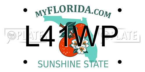 L41WP Florida License Plate