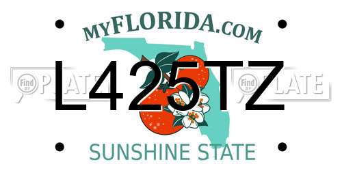 L425TZ Florida License Plate