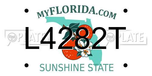 L4282T Florida License Plate