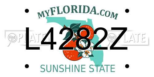 L4282Z Florida License Plate