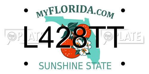 L428TT Florida License Plate