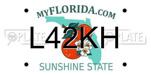 L42KH Florida License Plate