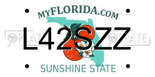 L42SZZ Florida License Plate