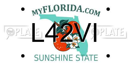 L42VI Florida License Plate