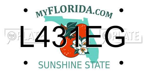 L431EG Florida License Plate