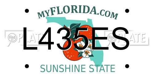 L435ES Florida License Plate