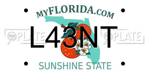 L43NT Florida License Plate