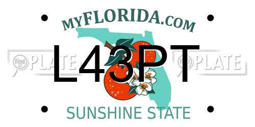 L43PT Florida License Plate
