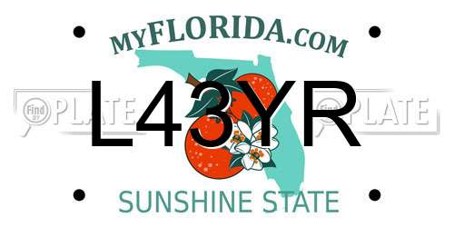 L43YR Florida License Plate