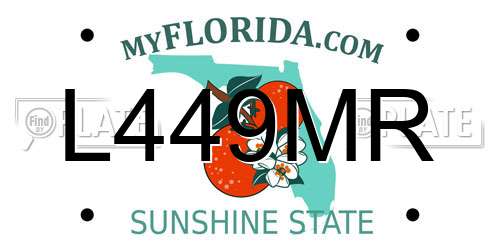 L449MR Florida License Plate