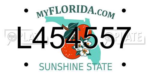 L454557 Florida License Plate
