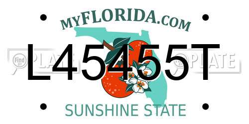 L45455T Florida License Plate