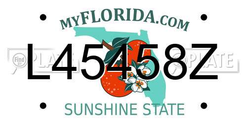 L45458Z Florida License Plate