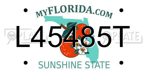 L45485T Florida License Plate