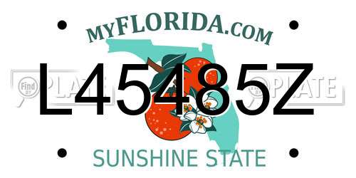 L45485Z Florida License Plate