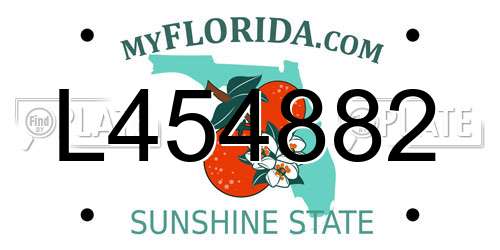 L454882 Florida License Plate
