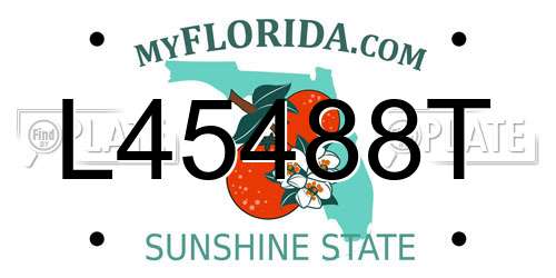 L45488T Florida License Plate