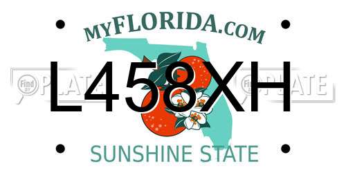 L458XH Florida License Plate