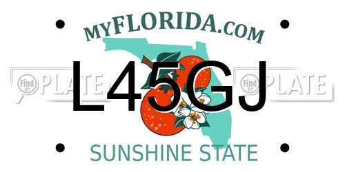 L45GJ Florida License Plate