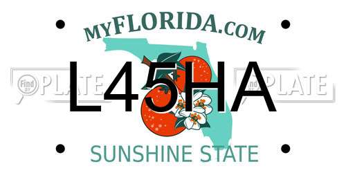 L45HA Florida License Plate