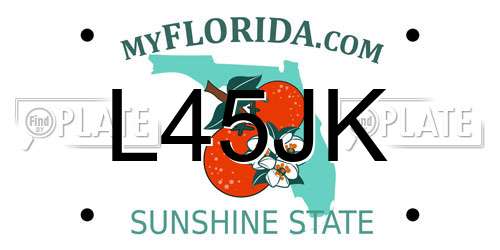 L45JK Florida License Plate