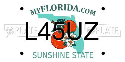 L45UZ Florida License Plate