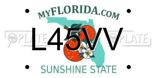 L45VV Florida License Plate