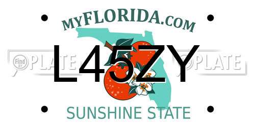 L45ZY Florida License Plate