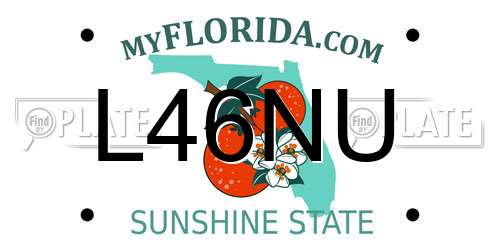 L46NU Florida License Plate
